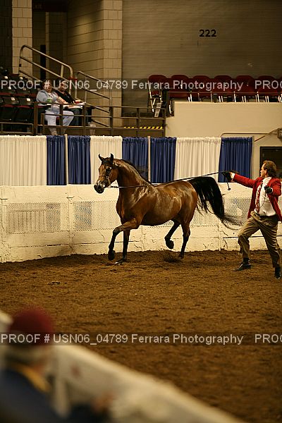 Proof Number USN06_04789