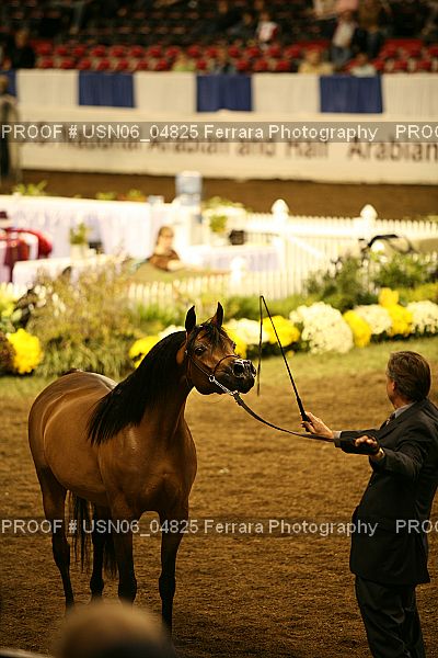 Proof Number USN06_04825