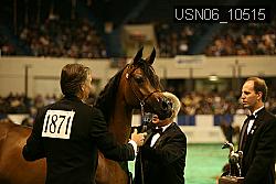 USN06_10515 thumbnail