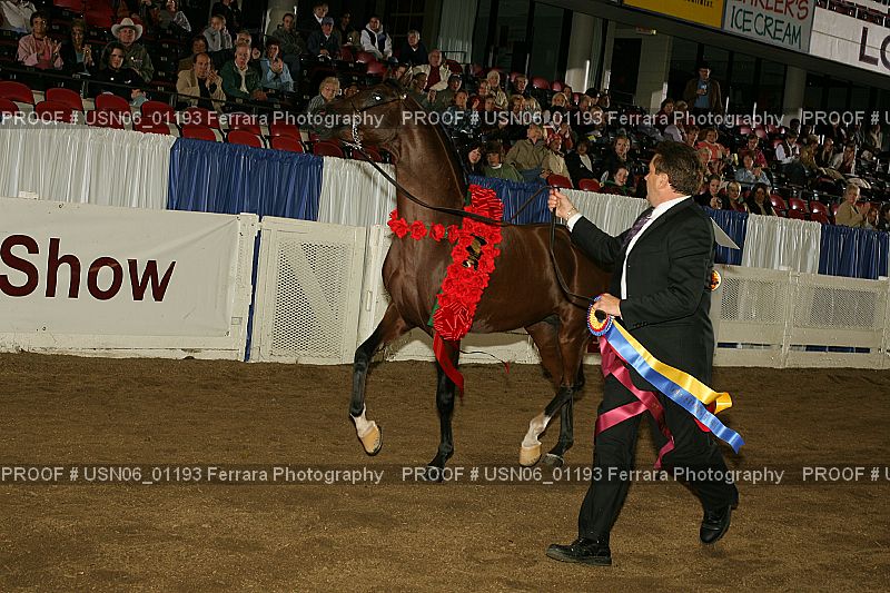 Proof Number USN06_01193