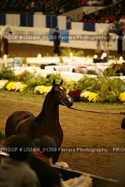 Proof Number USN06_01358