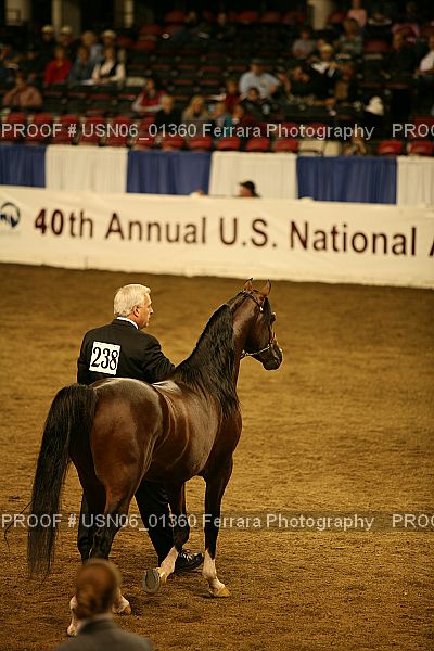 Proof Number USN06_01360