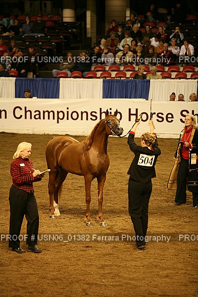 Proof Number USN06_01382