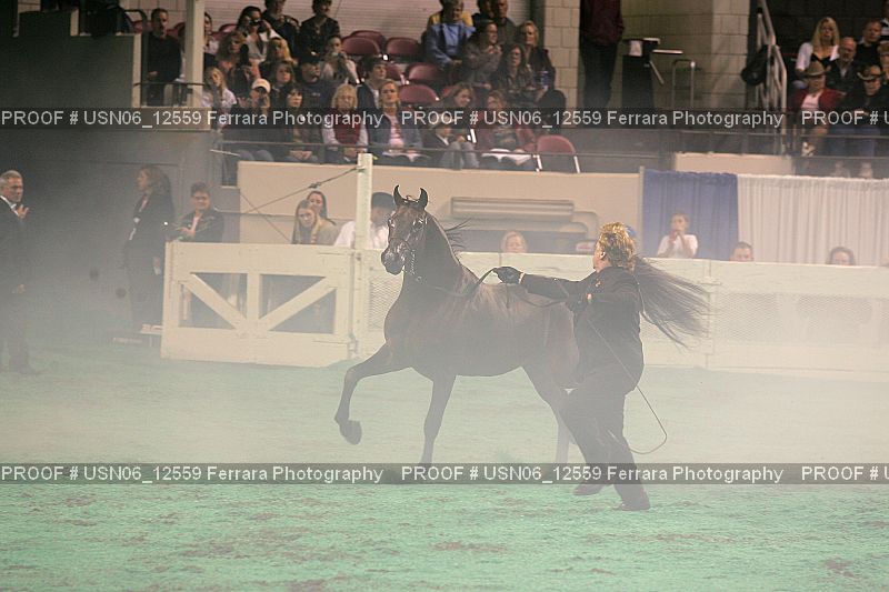 Proof Number USN06_12559
