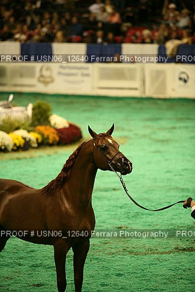 Proof Number USN06_12640