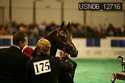 USN06_12716 thumbnail
