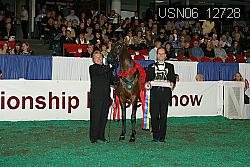 USN06_12728 thumbnail