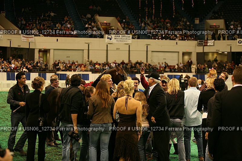 Proof Number USN06_12734
