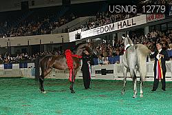USN06_12779 thumbnail