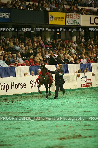 Proof Number USN06_13075