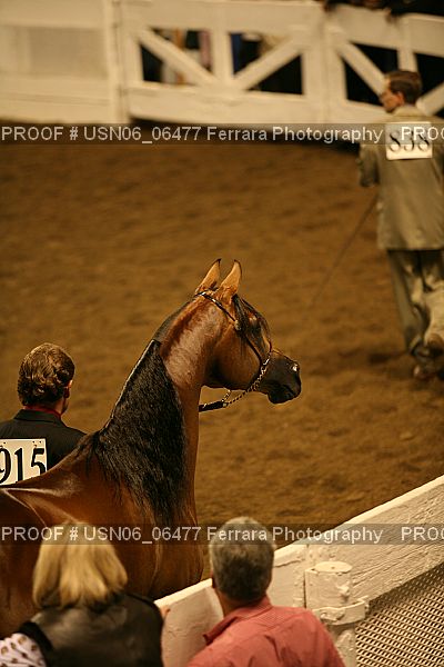 Proof Number USN06_06477