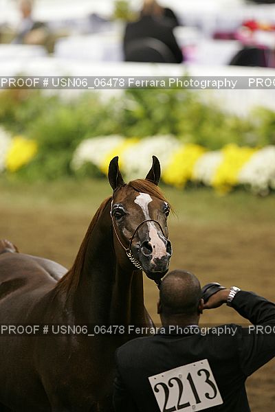 Proof Number USN06_06478