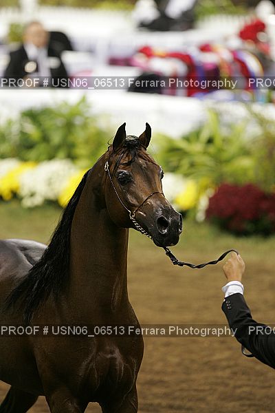 Proof Number USN06_06513