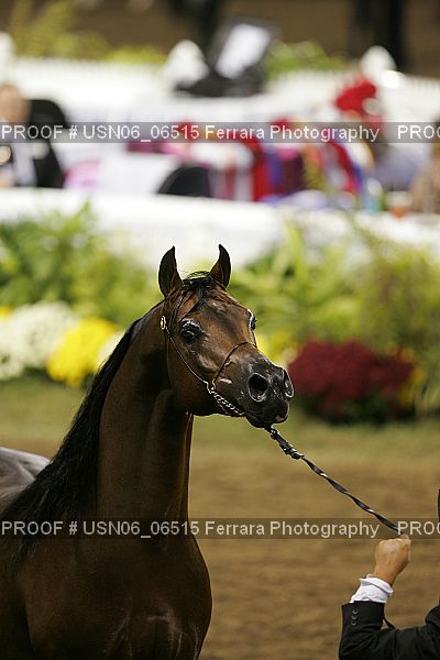 Proof Number USN06_06515