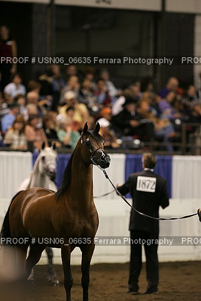 Proof Number USN06_06635