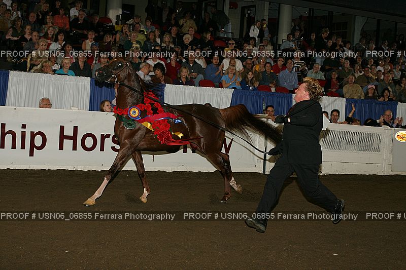 Proof Number USN06_06855