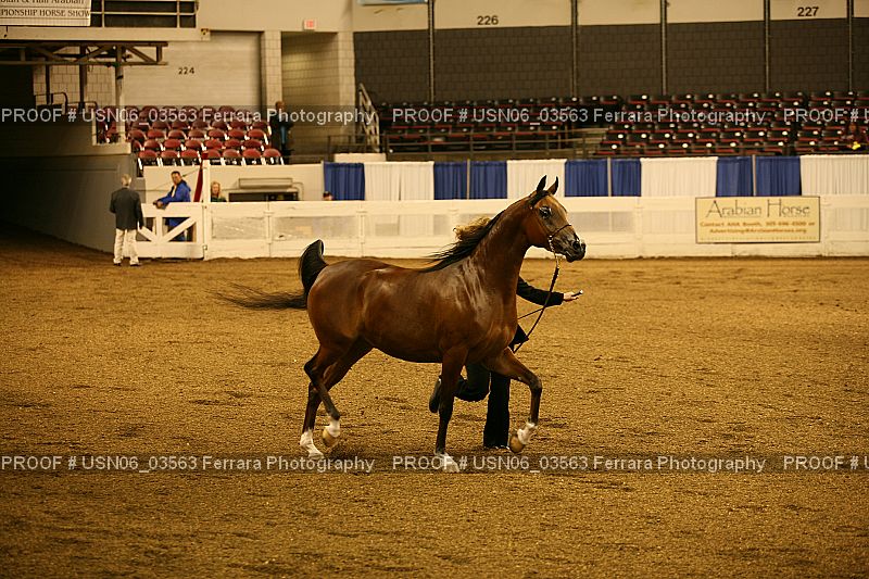 Proof Number USN06_03563