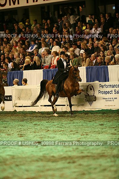 Proof Number USN06_10898