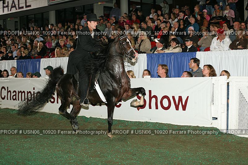 Proof Number USN06_10920