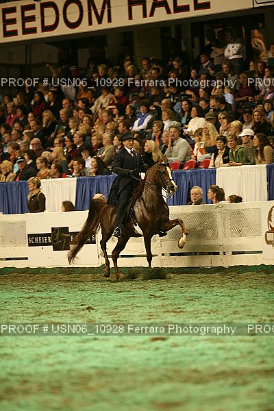 Proof Number USN06_10928