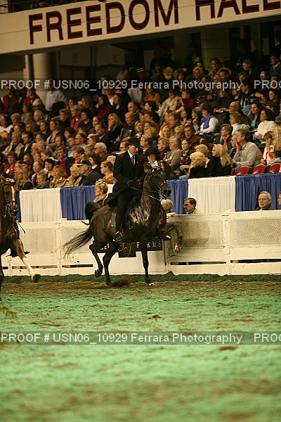 Proof Number USN06_10929