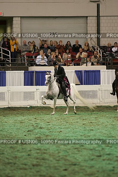 Proof Number USN06_10950