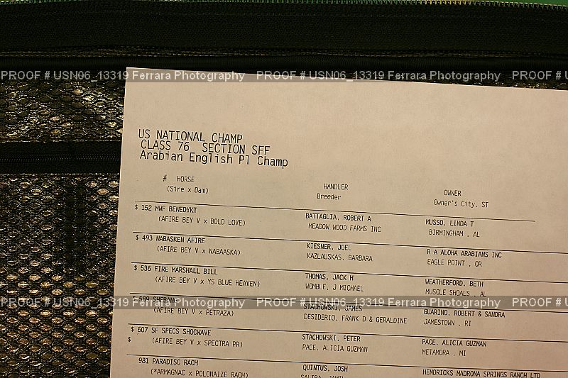 Proof Number USN06_13319