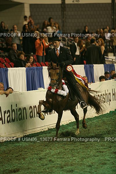 Proof Number USN06_13677
