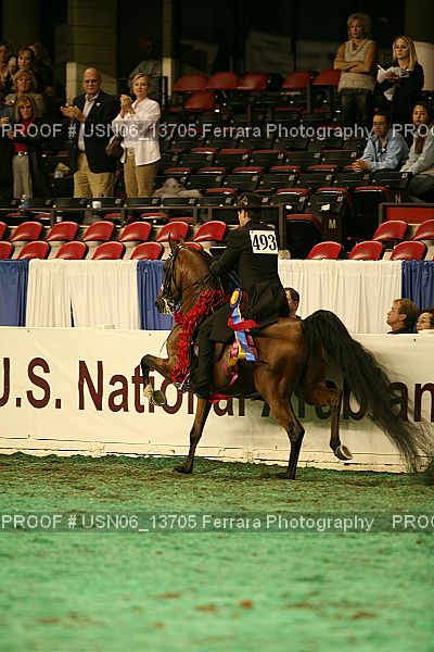 Proof Number USN06_13705
