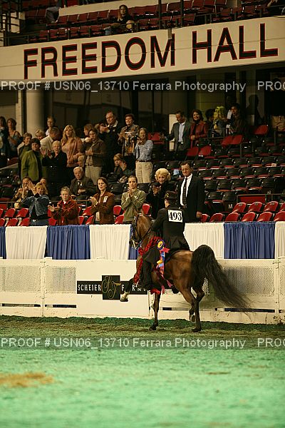 Proof Number USN06_13710