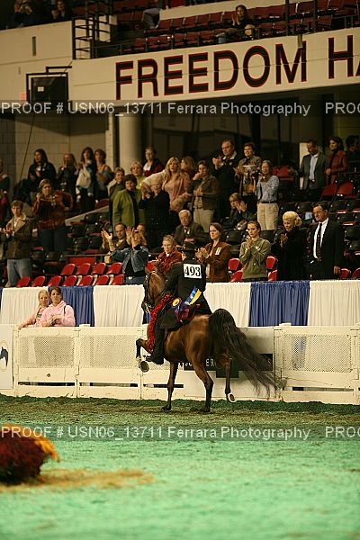 Proof Number USN06_13711