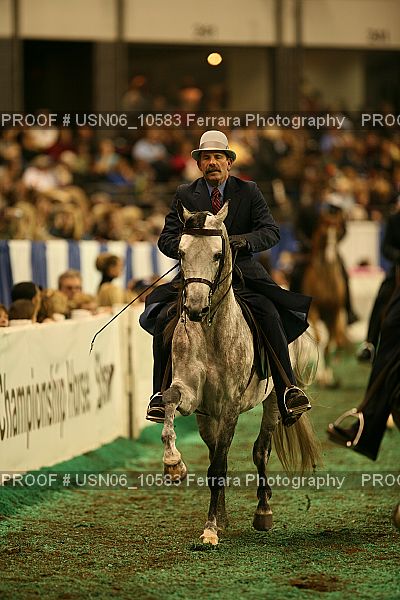 Proof Number USN06_10583