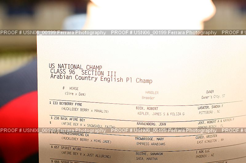 Proof Number USN06_00199