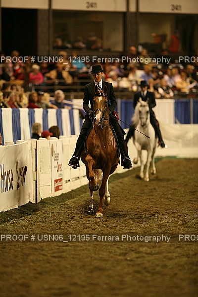 Proof Number USN06_12195