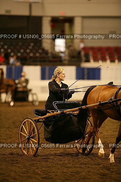 Proof Number USN06_05685