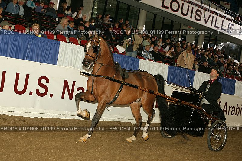 Proof Number USN06_01199