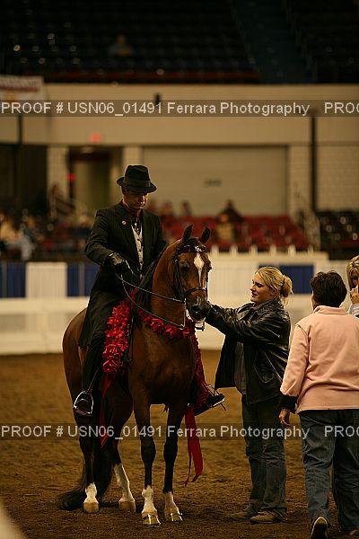 Proof Number USN06_01491