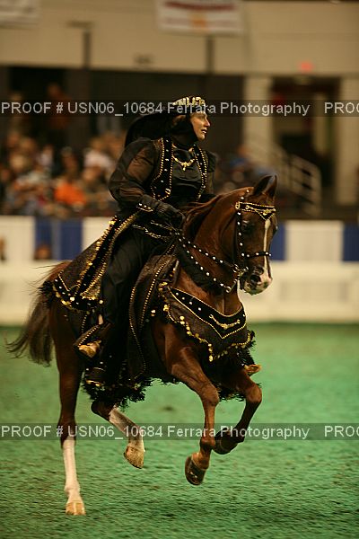 Proof Number USN06_10684