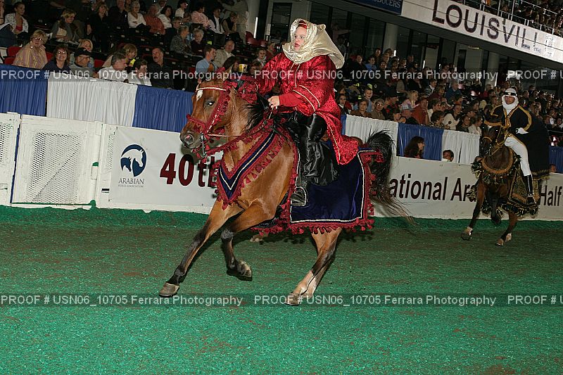 Proof Number USN06_10705
