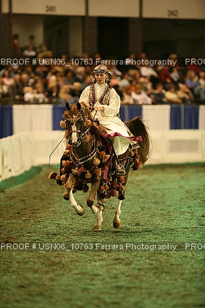Proof Number USN06_10763