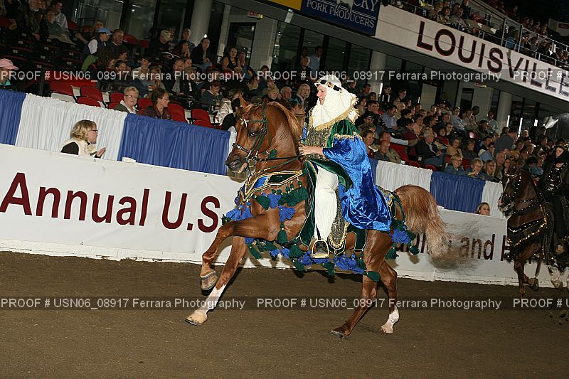 Proof Number USN06_08917