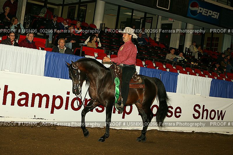 Proof Number USN06_00266