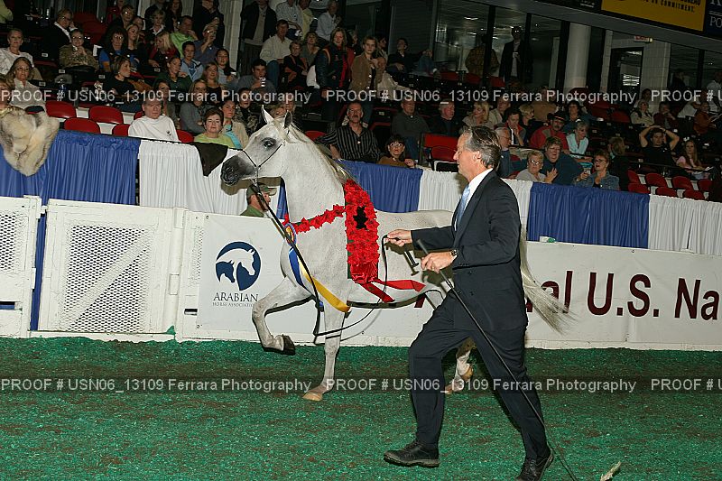 Proof Number USN06_13109