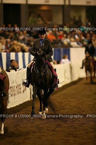 Proof Number USN06_09907