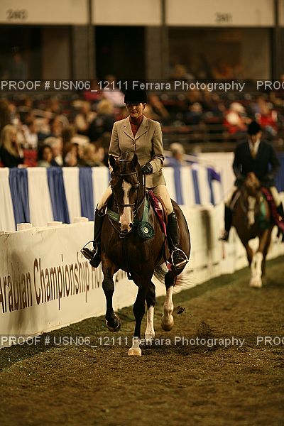 Proof Number USN06_12111
