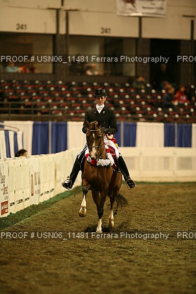 Proof Number USN06_11481