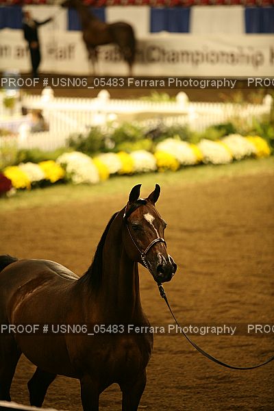 Proof Number USN06_05483