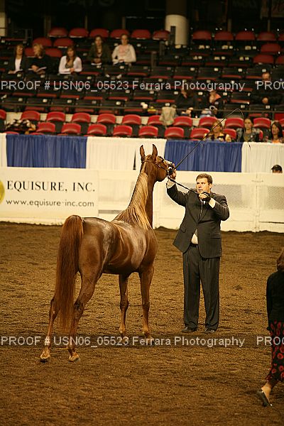 Proof Number USN06_05523