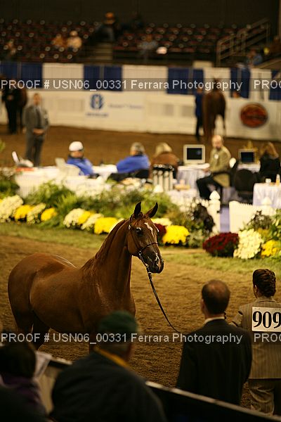 Proof Number USN06_00331