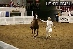 USN06_00431 thumbnail